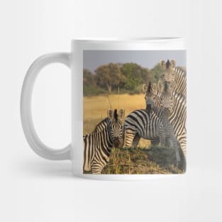 A Zeal of Zebras Mug